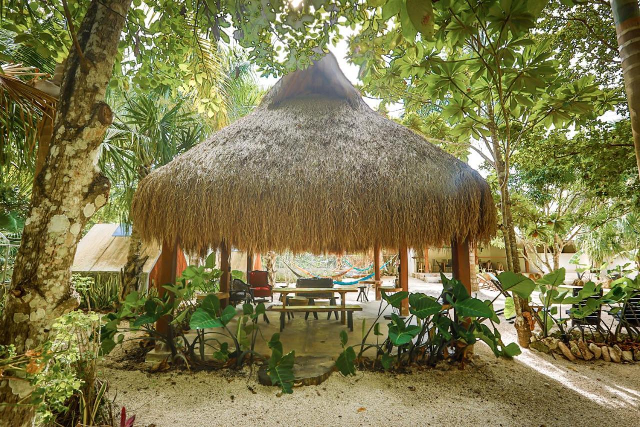Bufo Alvarius Sanctuary Bacalar Buenavista  Εξωτερικό φωτογραφία