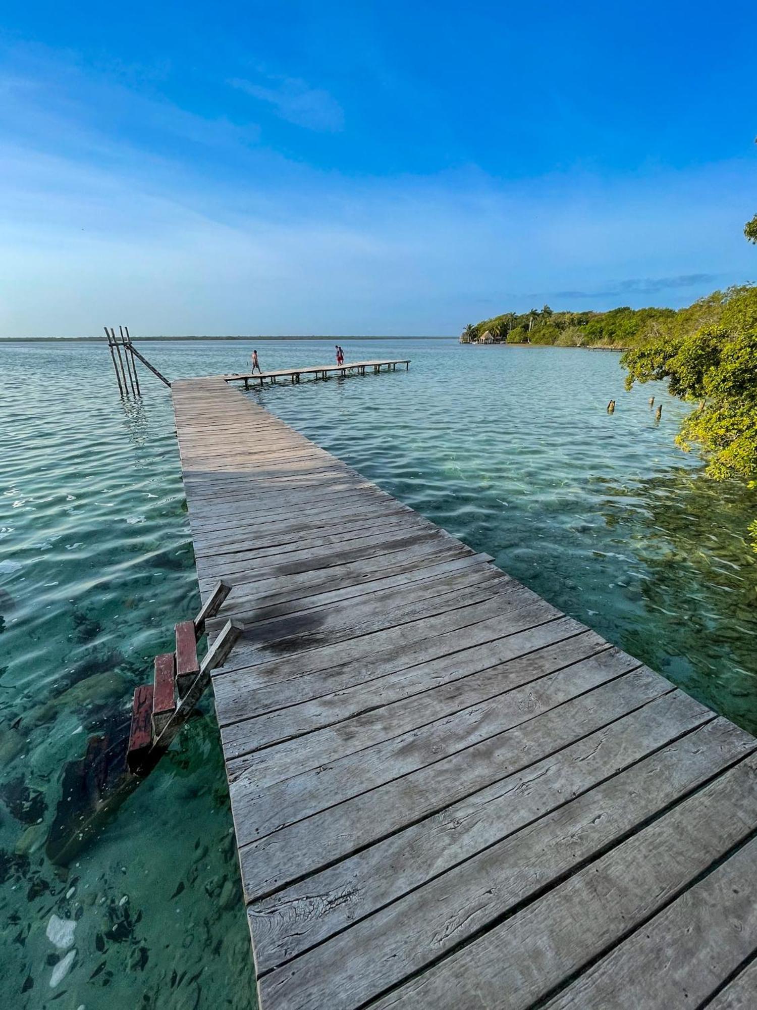 Bufo Alvarius Sanctuary Bacalar Buenavista  Εξωτερικό φωτογραφία