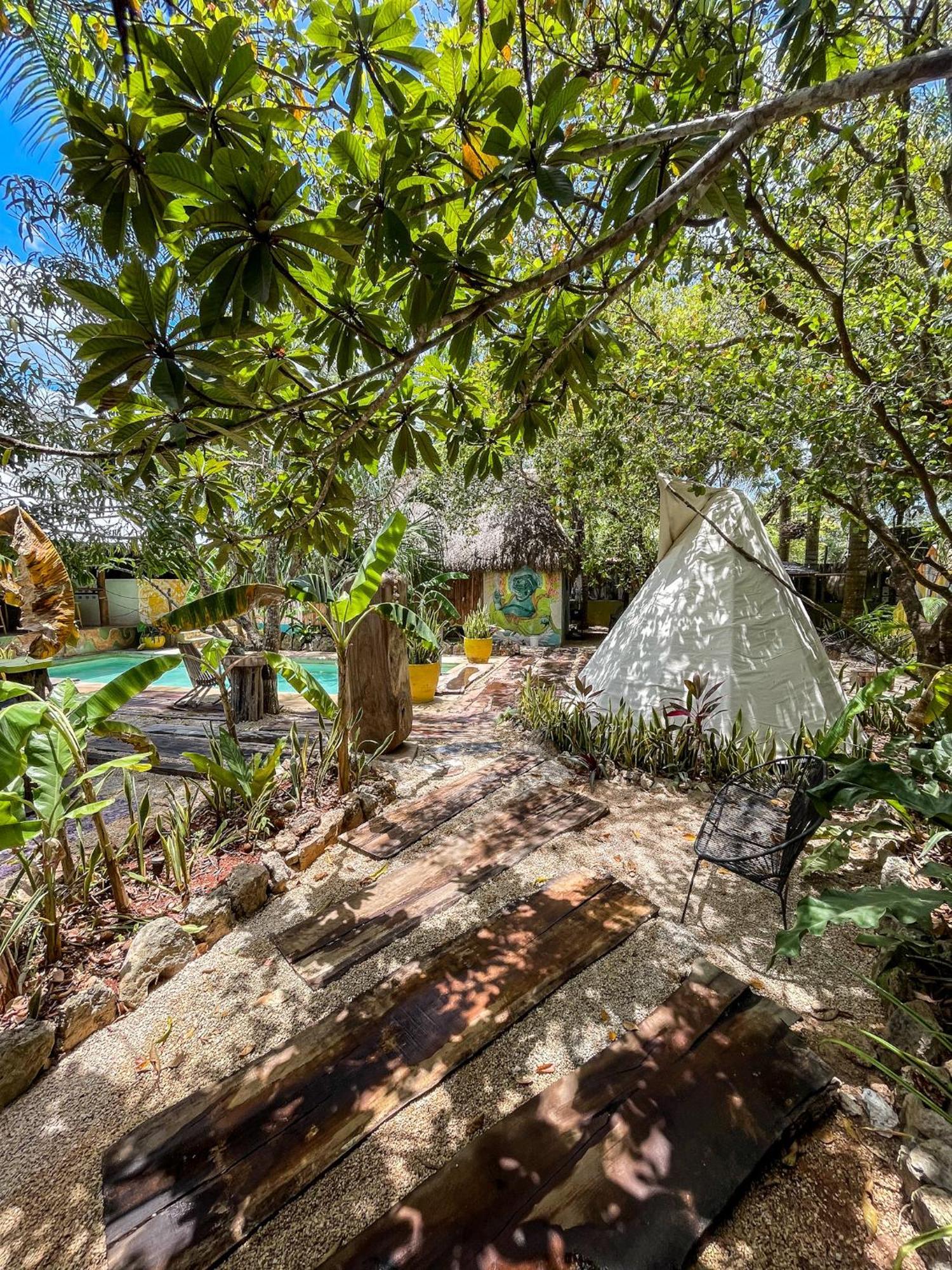 Bufo Alvarius Sanctuary Bacalar Buenavista  Εξωτερικό φωτογραφία